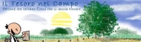 1107211136_tesoro_nel_campo_small.jpg