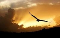 1201022151_aquila_small.jpg
