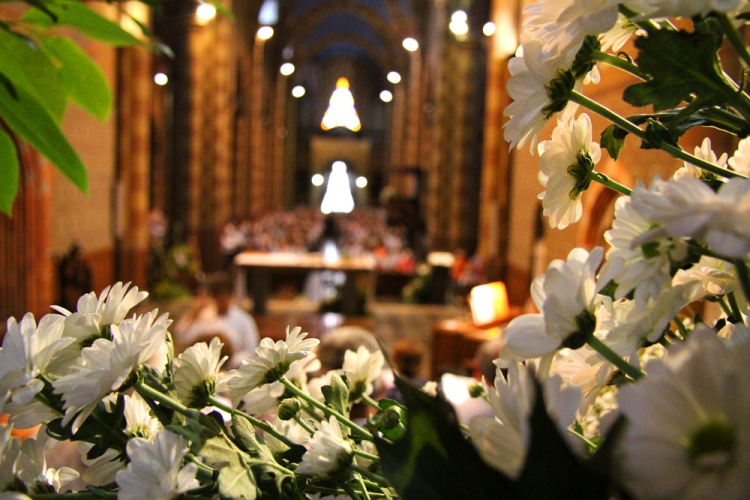 Fiori e luci: il Duomo